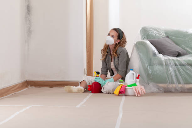 Reliable Mold Removal contractor in Whitakers, NC by WQB Mold Removal